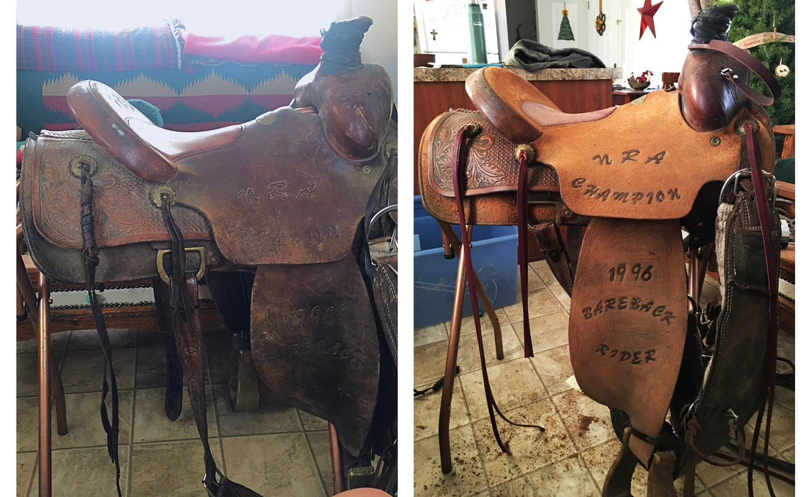 Saddle Restoration